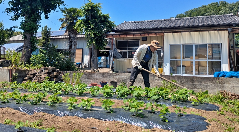 とみおかで農家になる！～ひろきさんの挑戦～